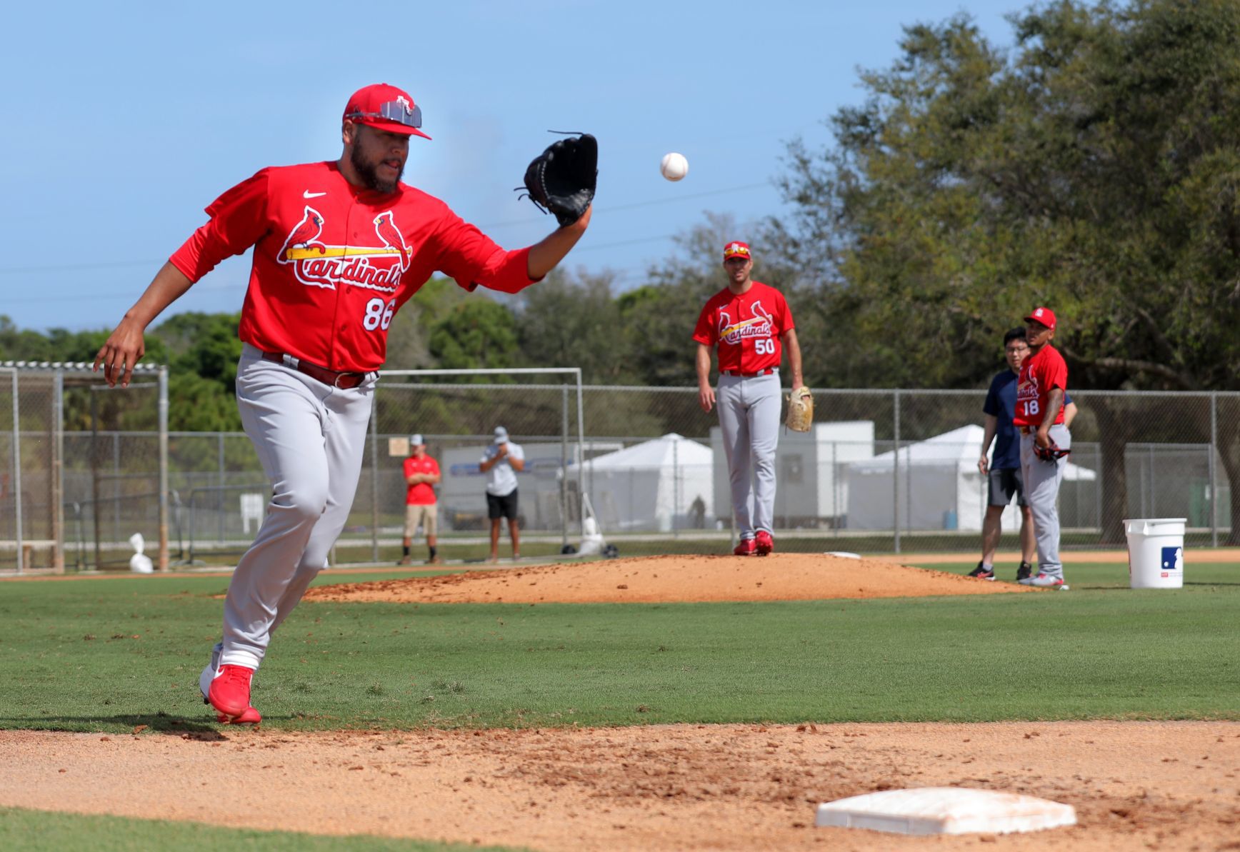 First official workout of Cardinals spring training